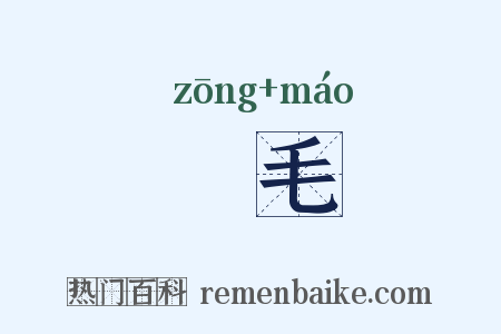 椶毛是什么意思的图片